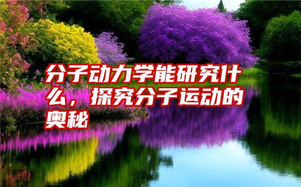 分子动力学能研究什么,探究分子运动的奥秘