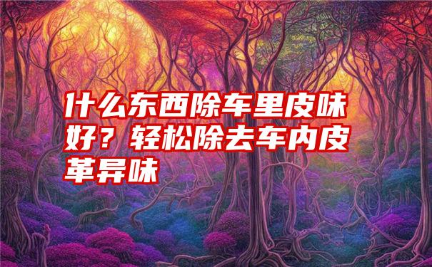 什么东西除车里皮味好？轻松除去车内皮革异味