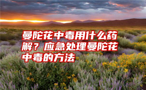 曼陀花中毒用什么药解？应急处理曼陀花中毒的方法