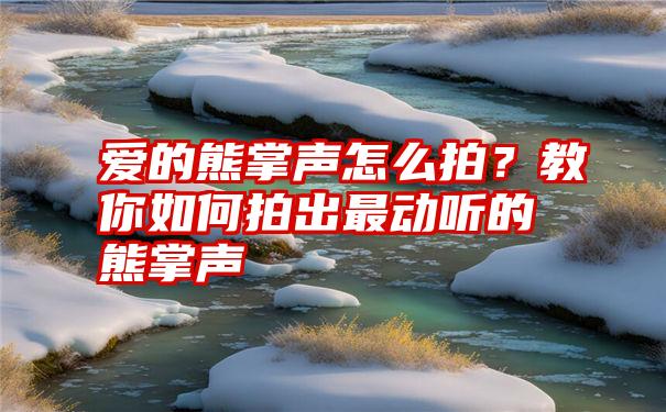 爱的熊掌声怎么拍？教你如何拍出最动听的熊掌声