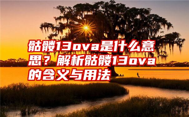 骷髅13ova是什么意思？解析骷髅13ova的含义与用法