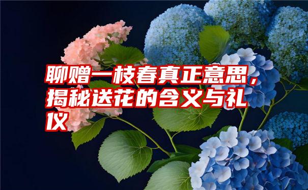 聊赠一枝春真正意思，揭秘送花的含义与礼仪