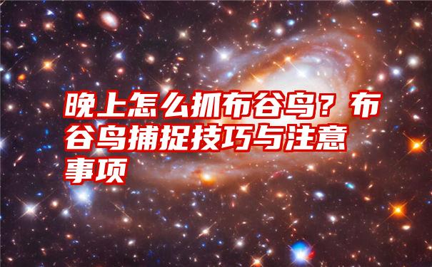 晚上怎么抓布谷鸟？布谷鸟捕捉技巧与注意事项