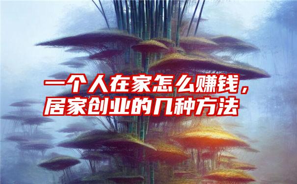 一个人在家怎么赚钱，居家创业的几种方法