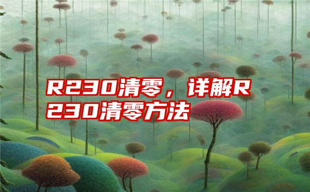 R230清零，详解R230清零方法