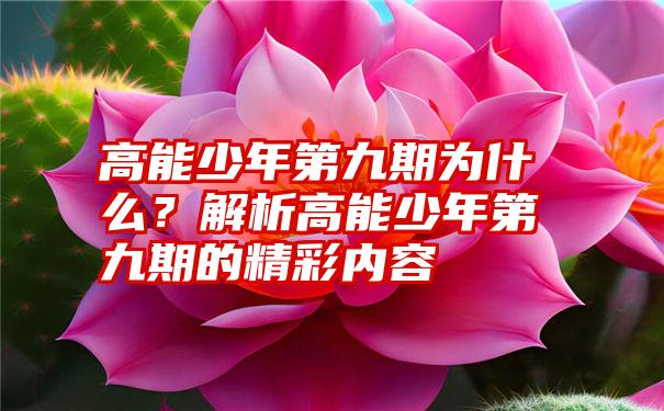 高能少年第九期为什么？解析高能少年第九期的精彩内容