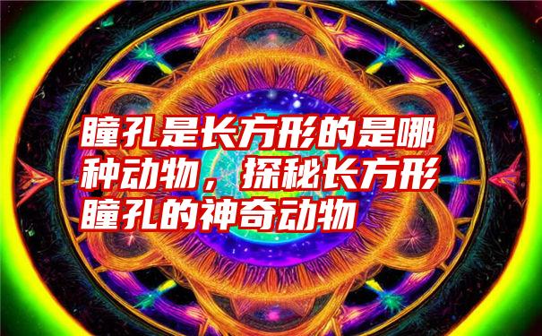 瞳孔是长方形的是哪种动物，探秘长方形瞳孔的神奇动物