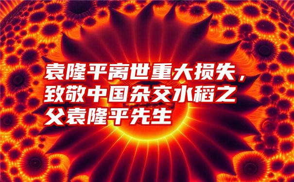 袁隆平离世重大损失，致敬中国杂交水稻之父袁隆平先生