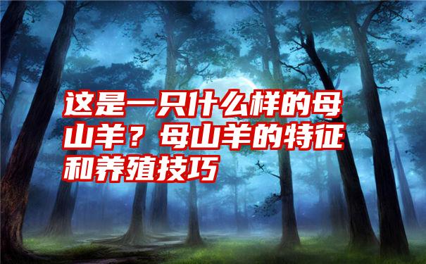 这是一只什么样的母山羊？母山羊的特征和养殖技巧