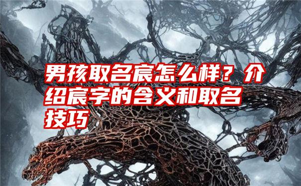 男孩取名宸怎么样？介绍宸字的含义和取名技巧