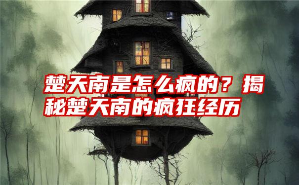 楚天南是怎么疯的？揭秘楚天南的疯狂经历