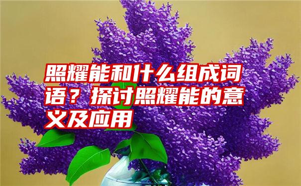 照耀能和什么组成词语？探讨照耀能的意义及应用