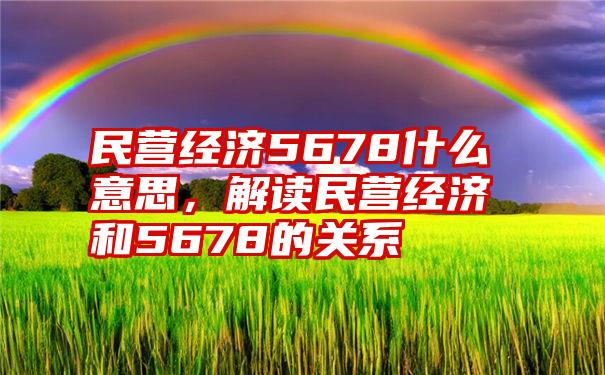 民营经济5678什么意思，解读民营经济和5678的关系