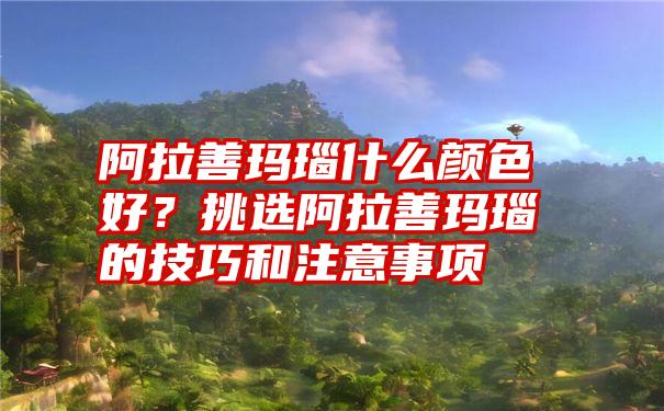 阿拉善玛瑙什么颜色好？挑选阿拉善玛瑙的技巧和注意事项