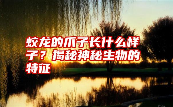 蛟龙的爪子长什么样子？揭秘神秘生物的特征