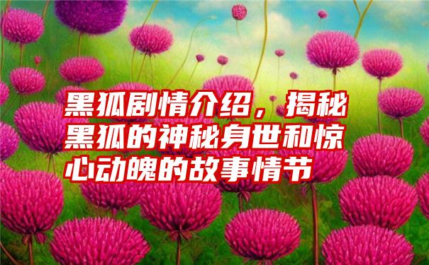 黑狐剧情介绍，揭秘黑狐的神秘身世和惊心动魄的故事情节