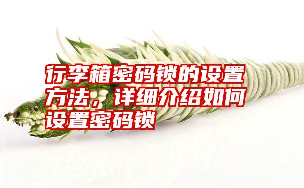 行李箱密码锁的设置方法，详细介绍如何设置密码锁