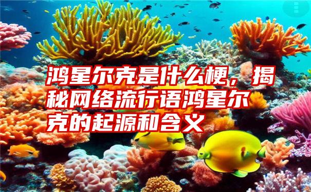 鸿星尔克是什么梗，揭秘网络流行语鸿星尔克的起源和含义