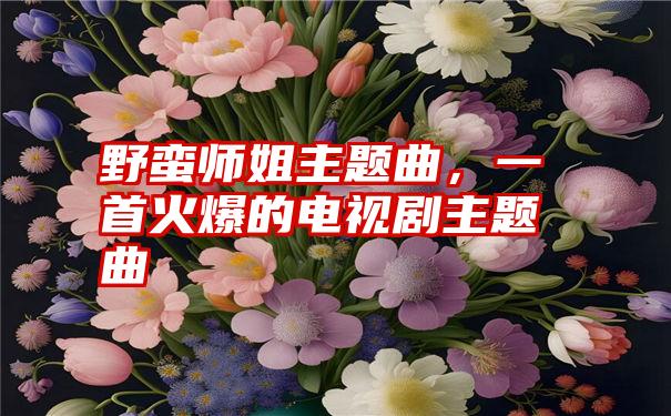 野蛮师姐主题曲，一首火爆的电视剧主题曲