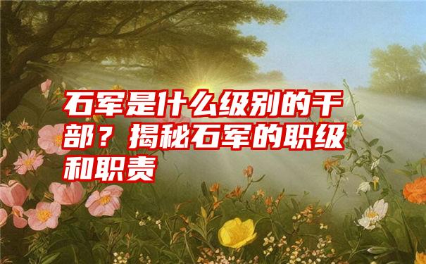 石军是什么级别的干部？揭秘石军的职级和职责