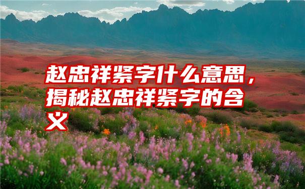 赵忠祥紧字什么意思，揭秘赵忠祥紧字的含义