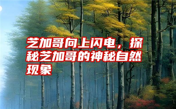 芝加哥向上闪电，探秘芝加哥的神秘自然现象