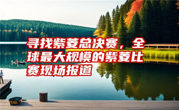 寻找紫菱总决赛，全球最大规模的紫菱比赛现场报道