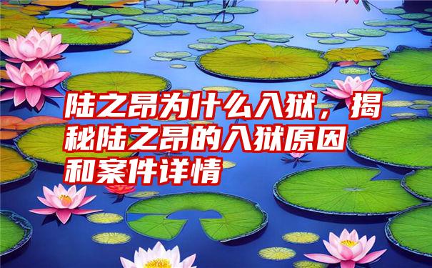 陆之昂为什么入狱，揭秘陆之昂的入狱原因和案件详情