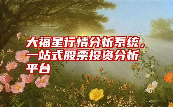 大福星行情分析系统，一站式股票投资分析平台