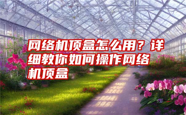 网络机顶盒怎么用？详细教你如何操作网络机顶盒