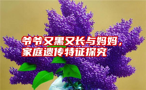 爷爷又黑又长与妈妈，家庭遗传特征探究