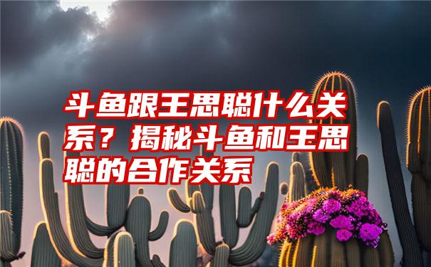 斗鱼跟王思聪什么关系？揭秘斗鱼和王思聪的合作关系