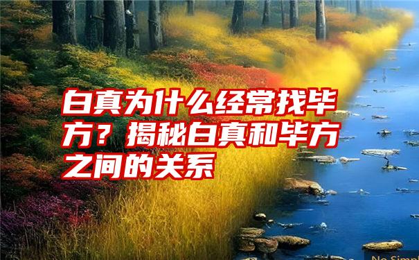 白真为什么经常找毕方？揭秘白真和毕方之间的关系