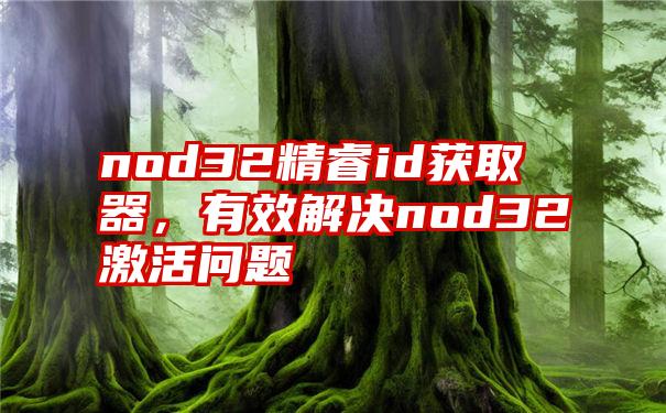 nod32精睿id获取器，有效解决nod32激活问题