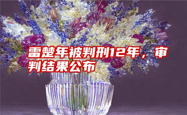 雷楚年被判刑12年，审判结果公布