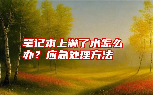 笔记本上淋了水怎么办？应急处理方法