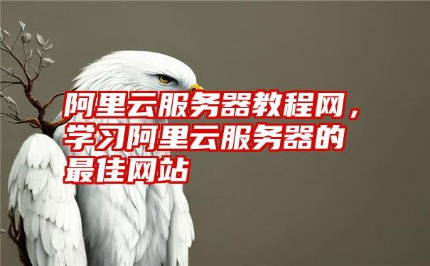 阿里云服务器教程网，学习阿里云服务器的最佳网站