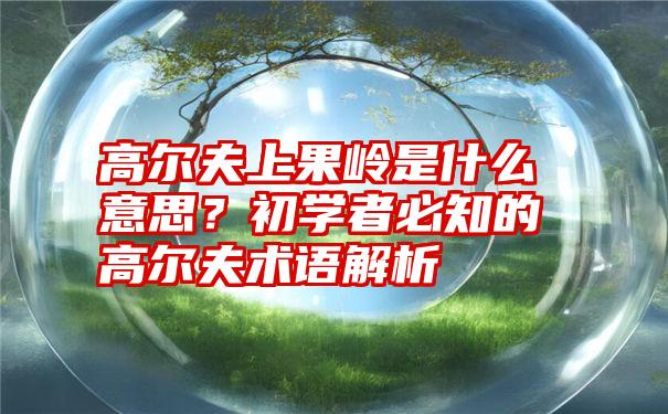 高尔夫上果岭是什么意思？初学者必知的高尔夫术语解析