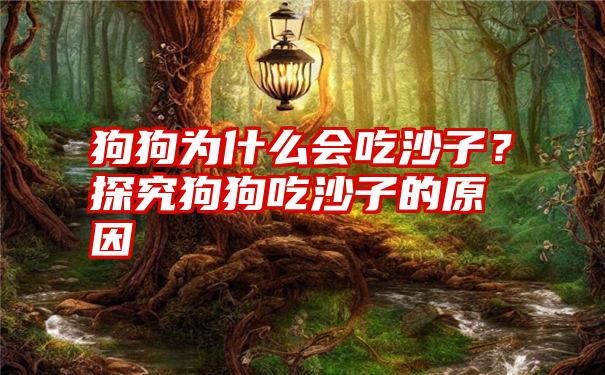 狗狗为什么会吃沙子？探究狗狗吃沙子的原因