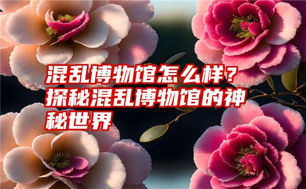 混乱博物馆怎么样？探秘混乱博物馆的神秘世界