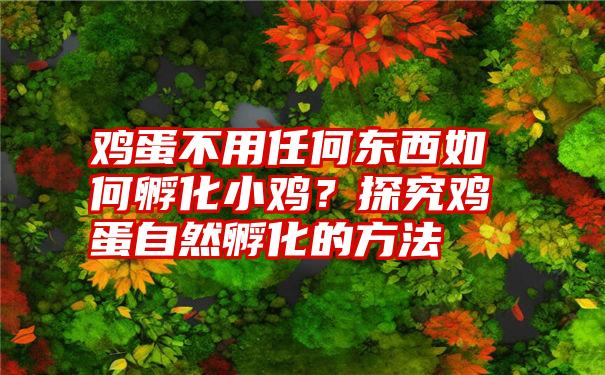 鸡蛋不用任何东西如何孵化小鸡？探究鸡蛋自然孵化的方法