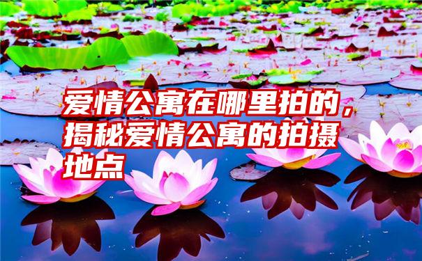 爱情公寓在哪里拍的，揭秘爱情公寓的拍摄地点