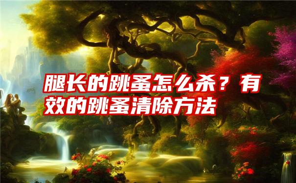 腿长的跳蚤怎么杀？有效的跳蚤清除方法