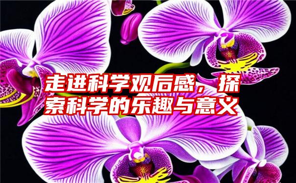 走进科学观后感，探索科学的乐趣与意义