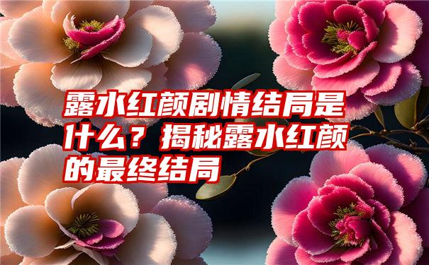 露水红颜剧情结局是什么？揭秘露水红颜的最终结局