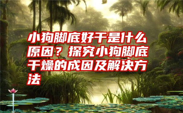 小狗脚底好干是什么原因？探究小狗脚底干燥的成因及解决方法