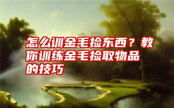 怎么训金毛捡东西？教你训练金毛捡取物品的技巧