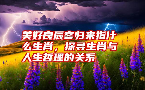 美好良辰客归来指什么生肖，探寻生肖与人生哲理的关系