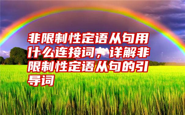 非限制性定语从句用什么连接词，详解非限制性定语从句的引导词