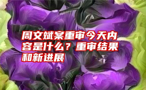 周文斌案重审今天内容是什么？重审结果和新进展